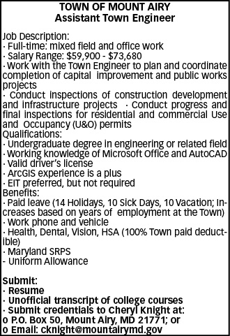 assistant town engineer