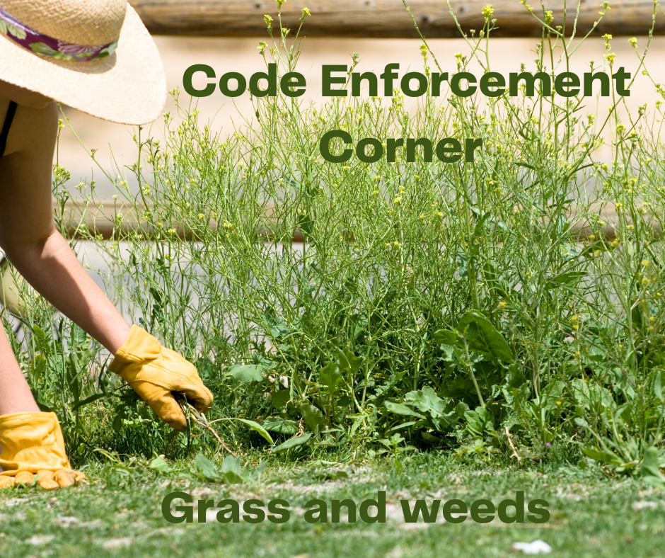 Code Enforcement Corner -- Weeds and Grass 