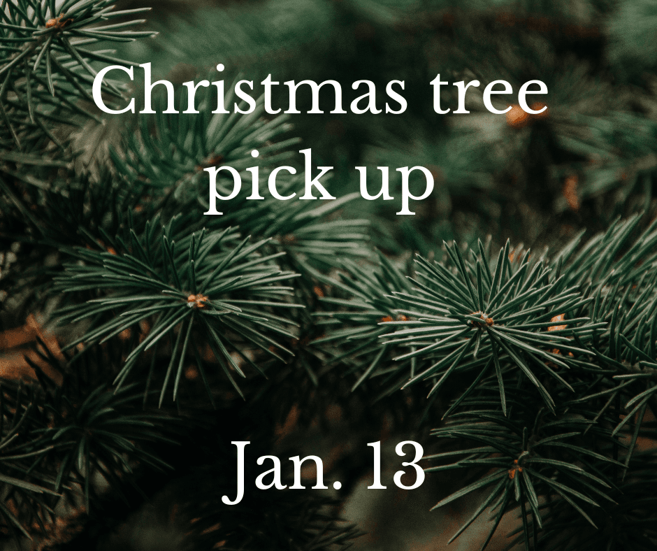 Christmas tree pick up 