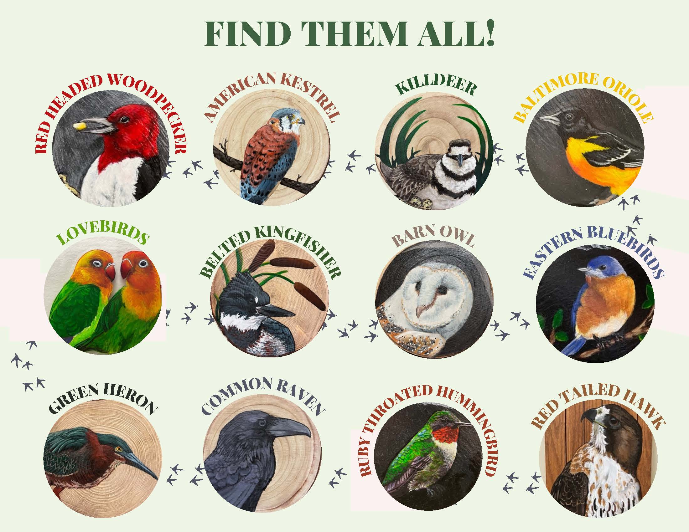 Birds Brochure (1)_Page_2