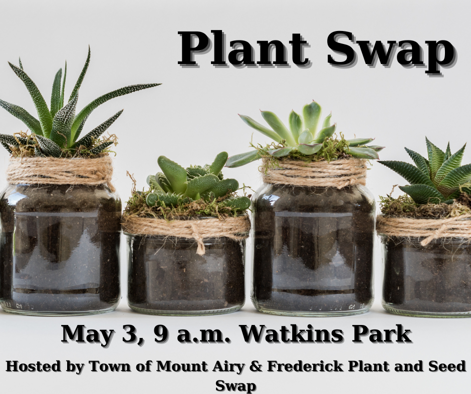 Plant Swap (2)