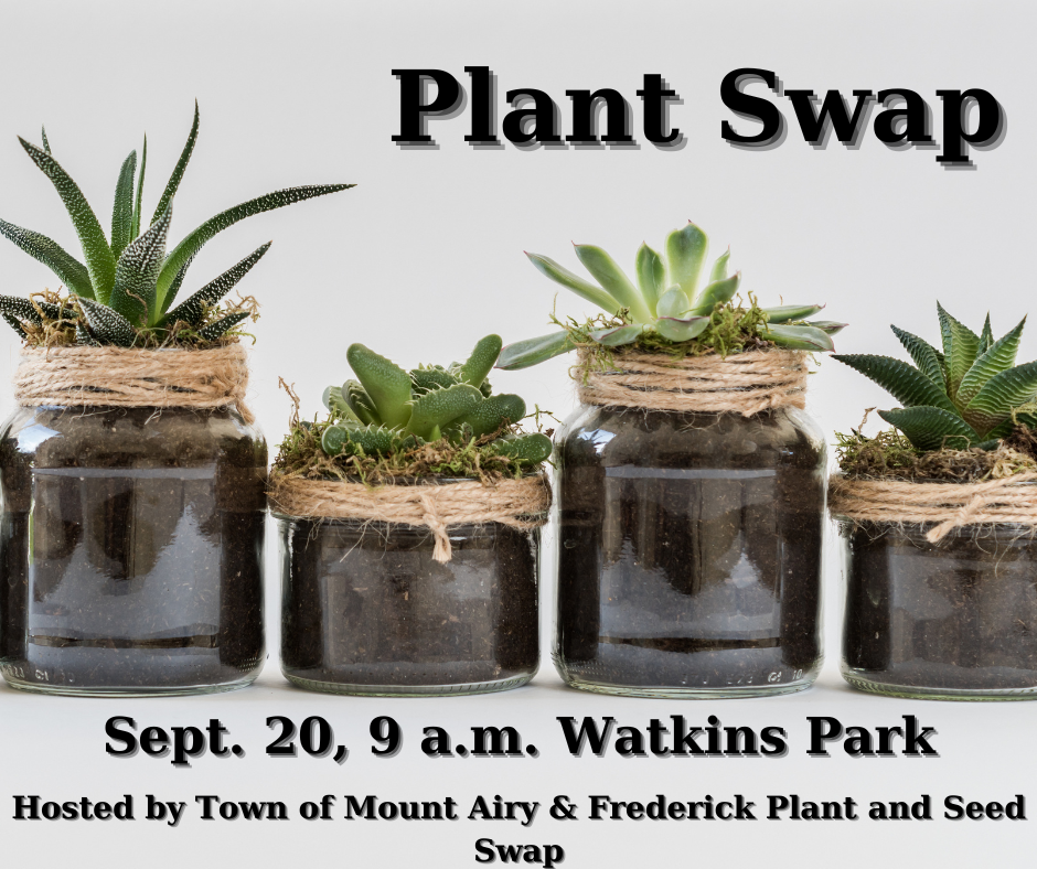 Plant Swap (3)
