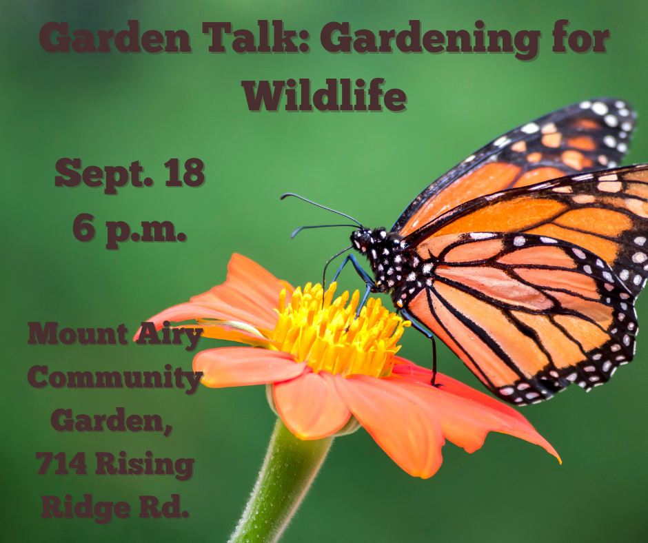 Garden Talk Gardening for Wildlife