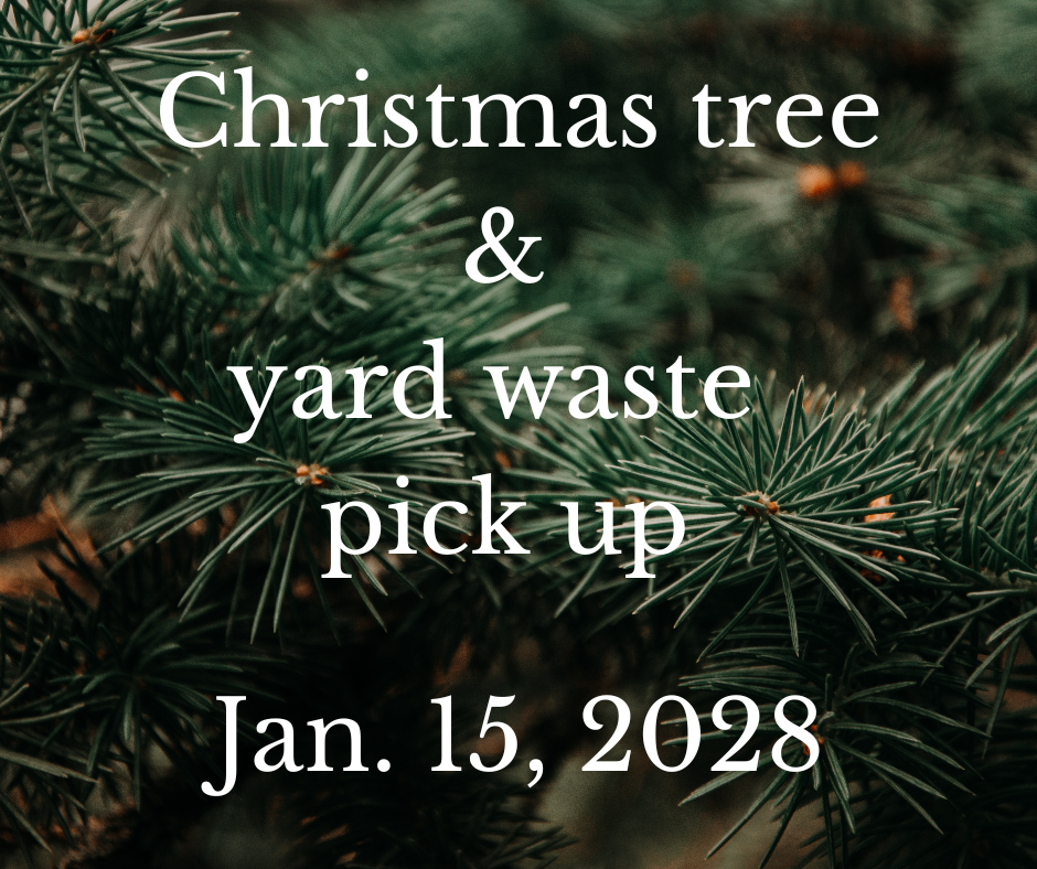Christmas tree pick up (7)