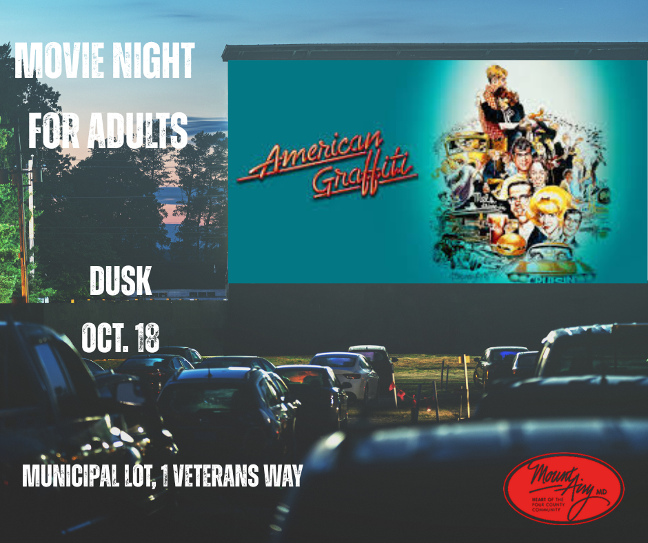 Movie Night for Adults (2)