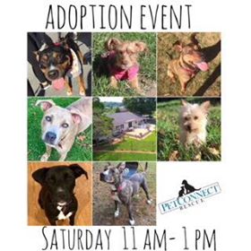 23140158_743396192510896_1799013598_n